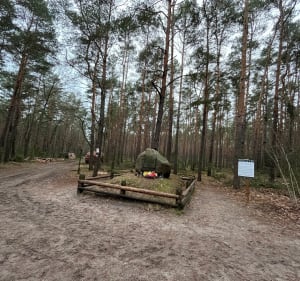 Z Truskawia do Łomianek - Truskaw - 5