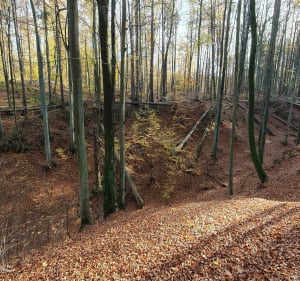 Wąwóz Huzarów i Wężową Dolina - Gdańsk - 4