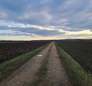 Promenade dans les champs de Goux - Dole - 4