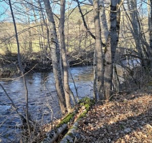 Balade sur les berges du Lot plus église de Chadenet - Chadenet - 3