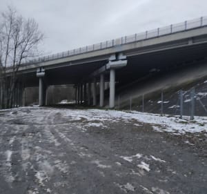 Brzęczkowice - las - Mysłowice - 3