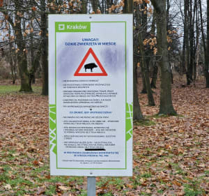 Kliny - Kraków - Kraków - 3