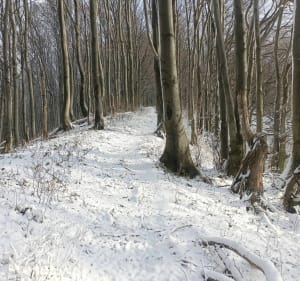 Cergowa z Nowej Wsi - Nowa Wieś - 3