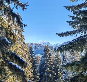 Forêt des 4 sous - Villard-sur-Doron - 3