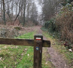 Marche vers Rambouillet - Épernon - 3