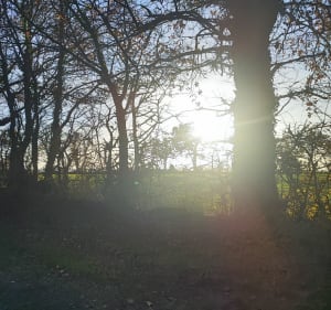 Balade entre chemin et route dans la campagne de Mandeville - Mandeville-en-Bessin - 3