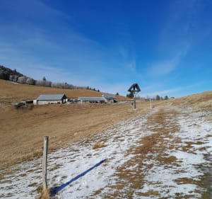 Glasshutt, Firstacker, col du Haag, Judenhut - Soultz-Haut-Rhin - 5