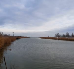 Do ujścia Wisły Królewieckiej i Kątów Rybackich - Kobyla Kępa - 4