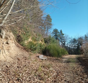Les hauteurs de Châteauneuf par les Tardins - Châteauneuf-de-Vernoux - 3