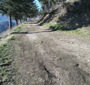 Le chemin du Dorier - Unieux - 3