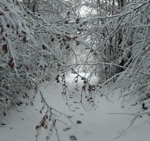 Sous la neige de Vimy - Vimy - 3