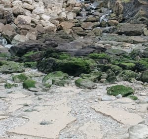 La quille retournée autour d'Equihen-Plage - Équihen-Plage - 5