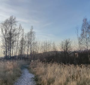 Wzdłuż ogródków działkowych z widokiem na ZG JANINA - Libiąż - 4