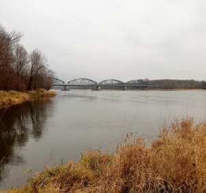 Brzegiem Wisły do Wyszogrodu - Bydgoszcz - 4