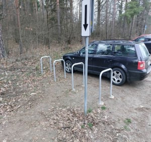 Trasa przyrodnicza, Las Antoniukowski - Białystok - 5