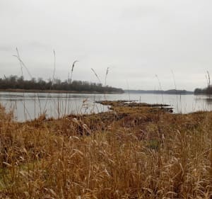 Brzegiem Wisły do Wyszogrodu - Bydgoszcz - 5