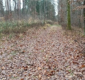 Odpocznij od fotela trasa - Kwidzyn - 3