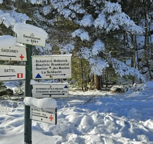 Vers Gaschneykopf - Stosswihr - 5
