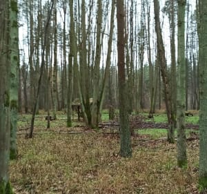 Odpocznij od fotela trasa - Kwidzyn - 4