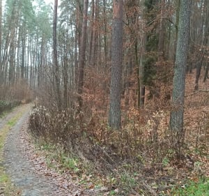 Odpocznij od fotela trasa - Kwidzyn - 5