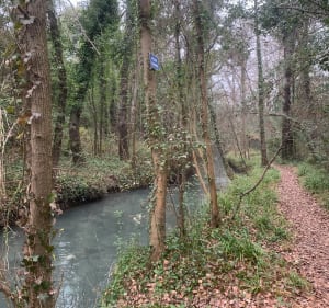 Noves, au fil de l’eau - Noves - 3