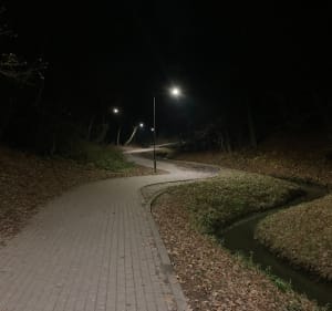 Dwa zbiorniki wodne i łączący je lasek. - Gdańsk - 4