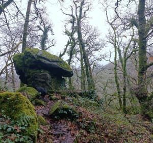 Les gorges du Stangala - Ergué-Gabéric - 3