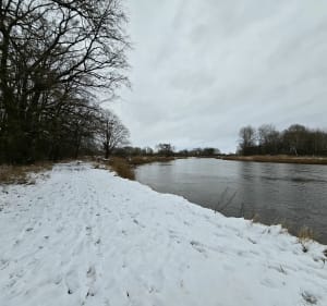 Trasa piesza od mostu w Rogalinku do mostu w Śremie - Rogalinek - 5