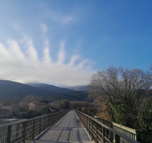 Le Ruban Blanc à Céret - Céret - 3