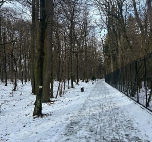 Zoo-Kopiec Niepodległości i Las Wolski - Kraków - 5