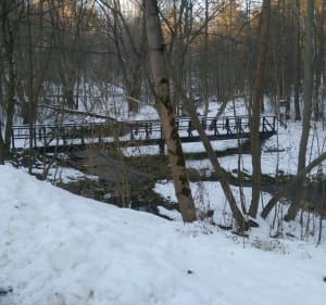 Spacer zimowy - Siedlec - 5