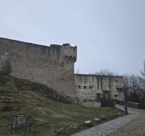 De Wettolsheim au château du Hohlandsbourg - Wettolsheim - 5