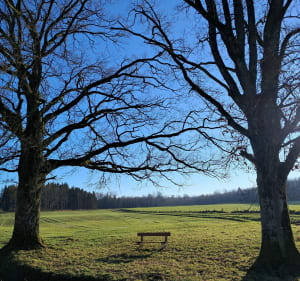 Balade à  la campagne par  3 villages - Pexonne - 3