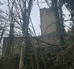 De Wettolsheim au château du Hohlandsbourg - Wettolsheim - 3