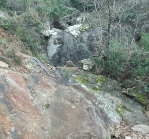 Single dans l'Esterel. - Saint-Raphaël - 5