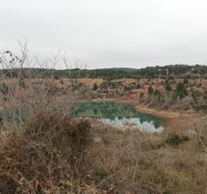 Balade à Loupian - Loupian - 3