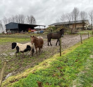 Hors des pistes, et Sandouville - Sandouville - 4