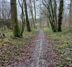 Marche nordique à Grand Charmont - Grand-Charmont - 3