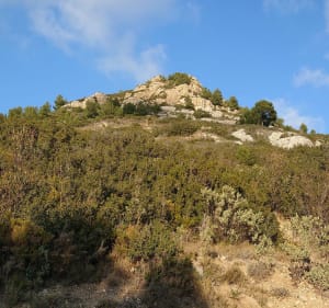 Tour de Grande Tête Rouge dans les Collines d'Allauch - NATHALIE - 5