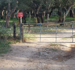 La suberaie et le maquis de Valmy - Argelès-sur-Mer - 3