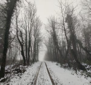 Balade hivernale à Louches - Landrethun-lès-Ardres - 3