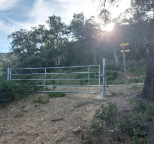 La suberaie et le maquis de Valmy - Argelès-sur-Mer - 4