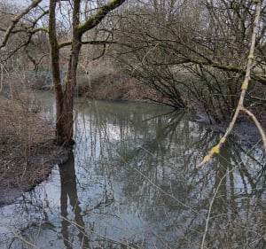 Des 4 bornes au lac de la Bergeonnerie - Joué-lès-Tours - 4
