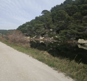 Etang Fos sur mer - Fos-sur-Mer - 4