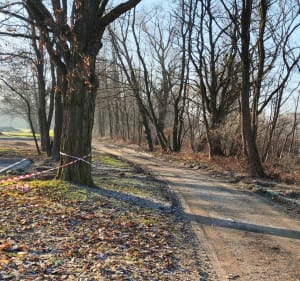 Ścieżka edukacyjna Łęg Kamieniec - Oświęcim - 3