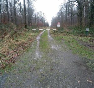 Entre Sambre et Forêt Mormal - Franck - 4