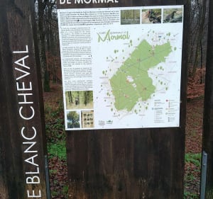 Entre Sambre et Forêt Mormal - Franck - 5
