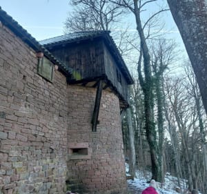 Balade Thannenkirch vers le Haut Koenigsbourg - Thannenkirch - 4