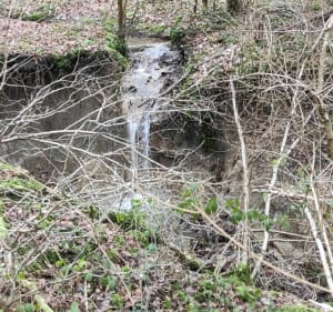Boucle hivernale en forêt de Blettange par Guélange - Benoît - 4