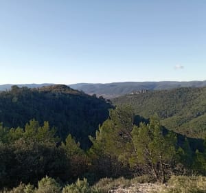 Balade au dessus de Garéoult - Garéoult - 3